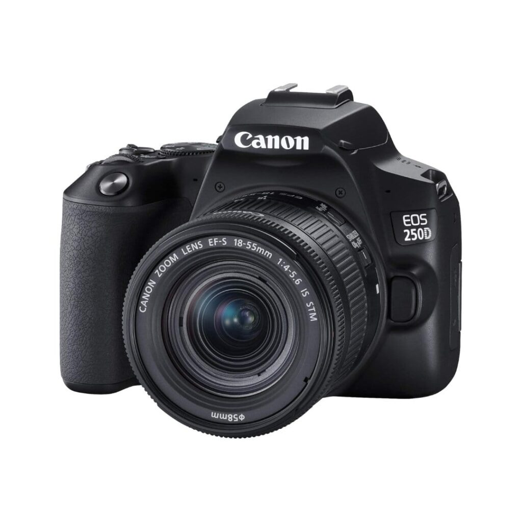 Canon EOS 250D + Canon EF-s 18-55mm f/4-5.6 IS STM Lens